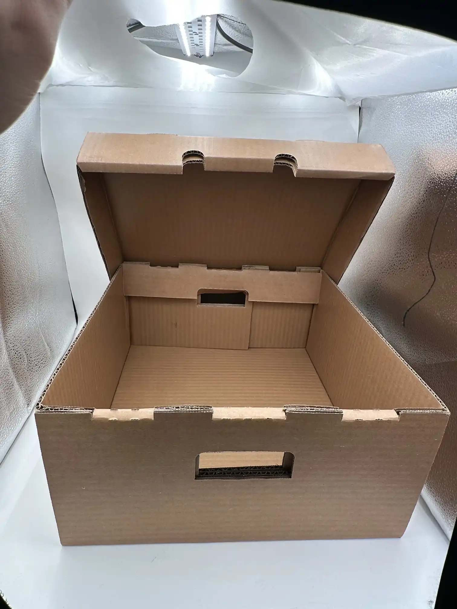 Μεγάλο κερωμένο κυματοειδές κουτί